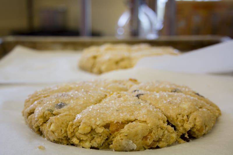 whole wheat scones with apricots and chocoalte chips