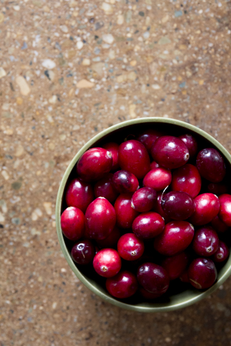 cranberry-clementine-coconut-bar-S-24