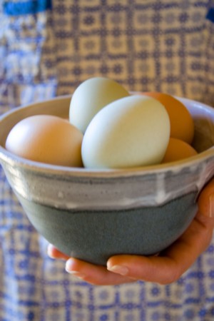 Frittata_Eggs_In_Bowl2_S