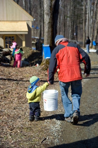 backyard sugaring, our neighbors help out