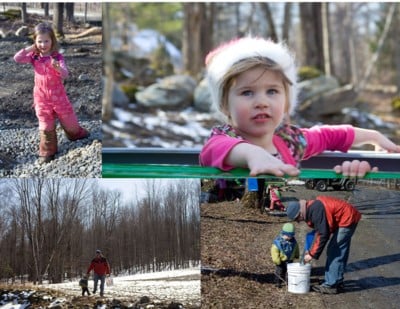 maple sugaring