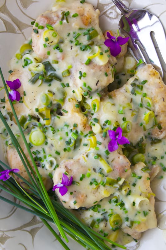 skillet chicken with cheddar chive sauce