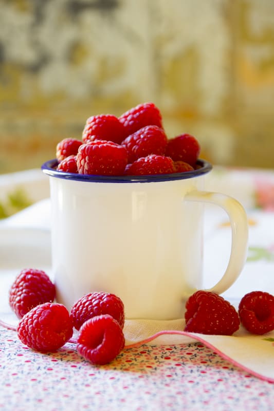 chocolate-raspberry-yogurt-pops-012