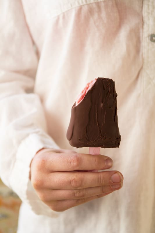Chocolate covered raspberry yogurt bars