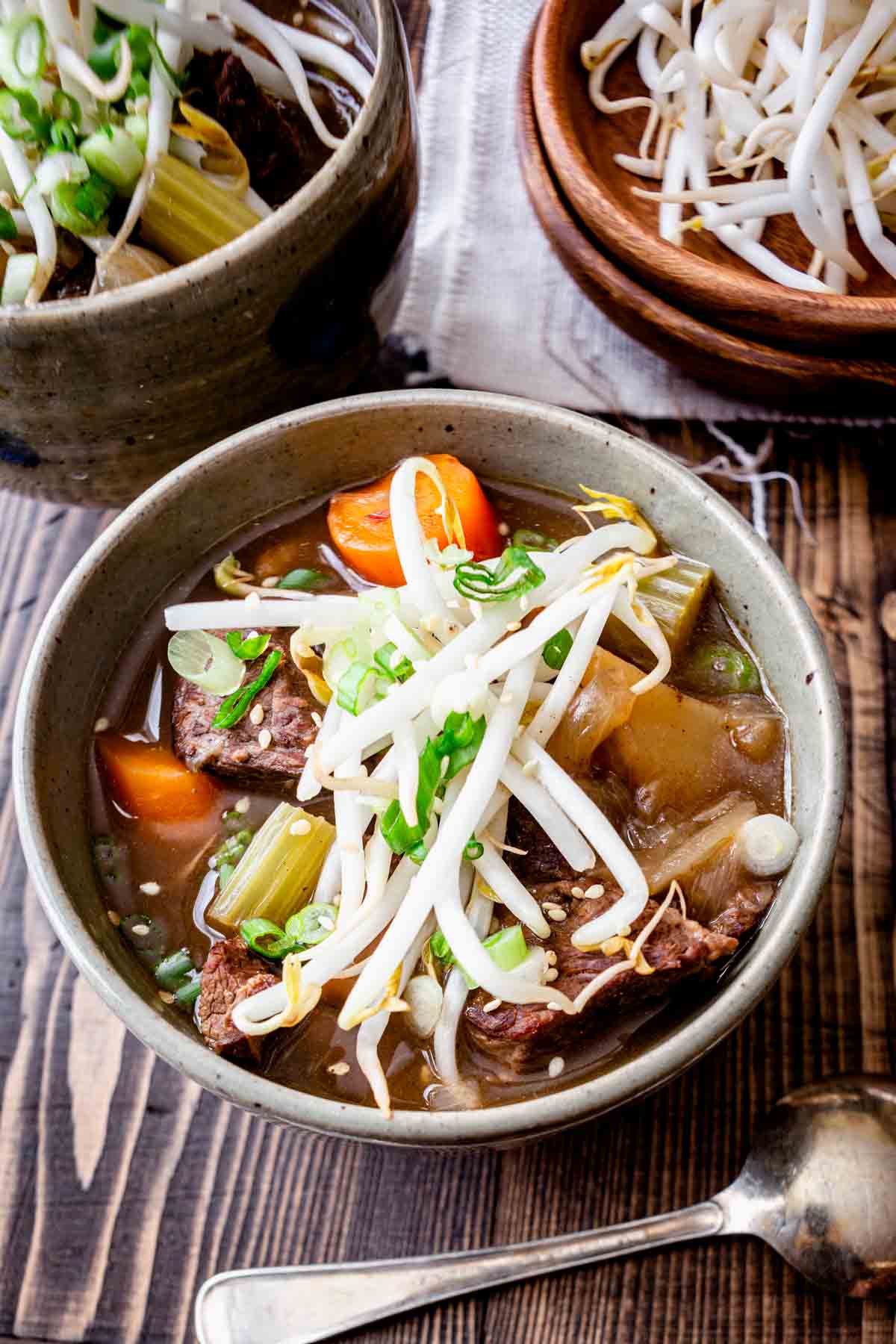 two bowls of beef stew with mung bean sprouts on top