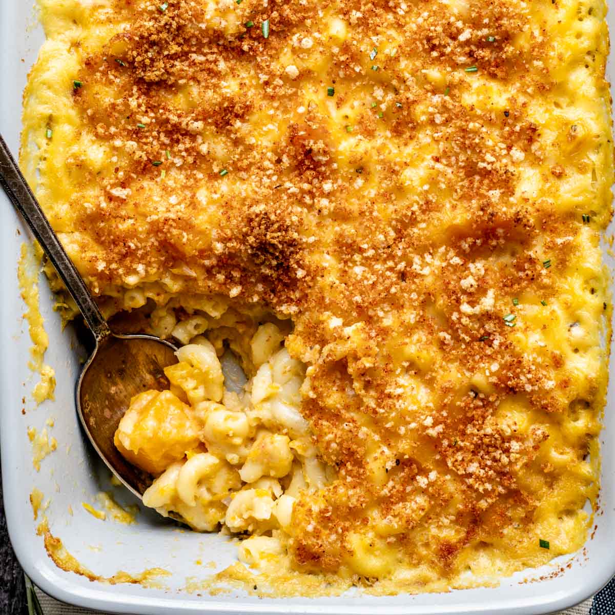close up of mac and cheese with butternut squash in it