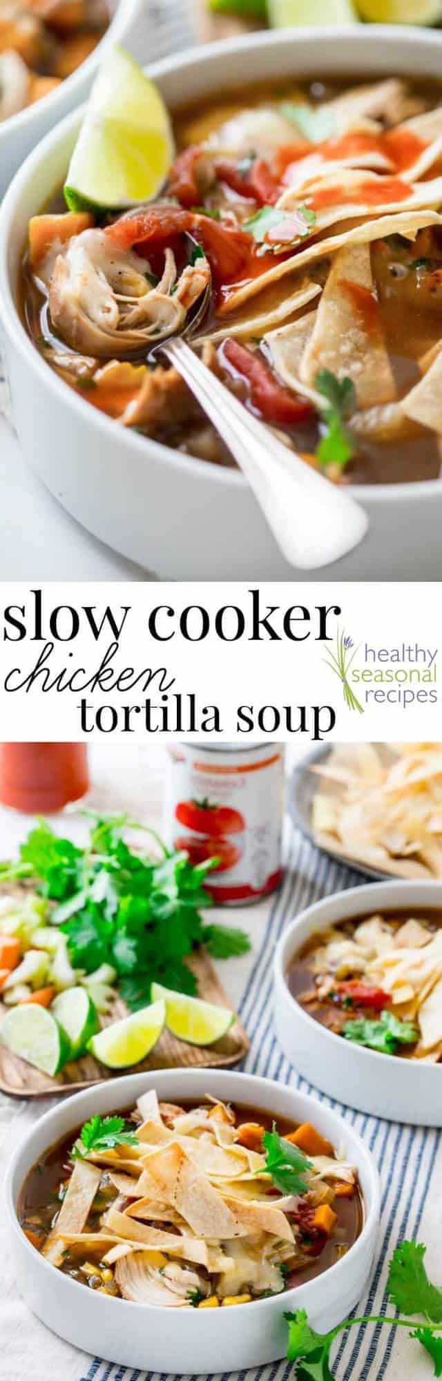 Chicken Soup with spoon and ingredients for the soup with text