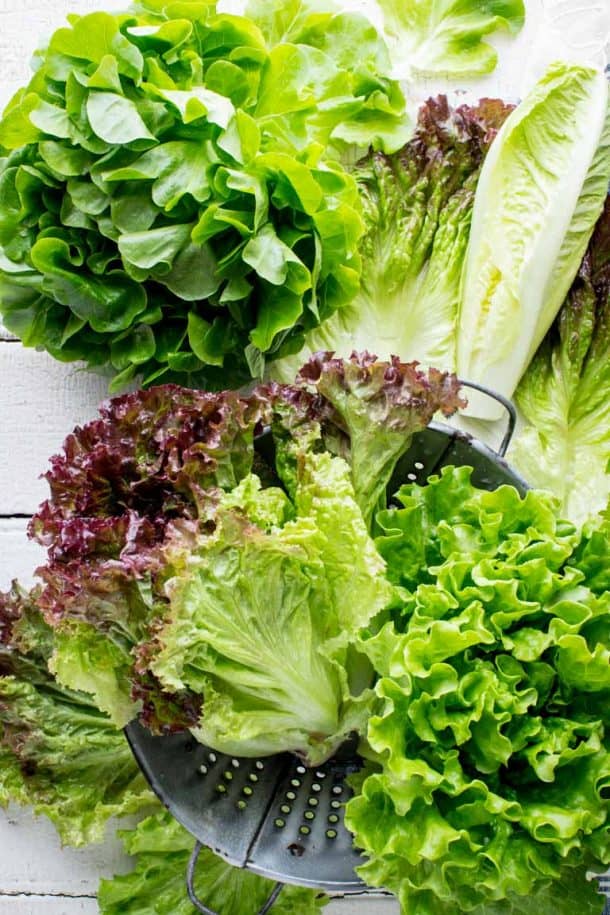 Produce Spotlight The Ultimate Guide to Lettuce Healthy Seasonal Recipes
