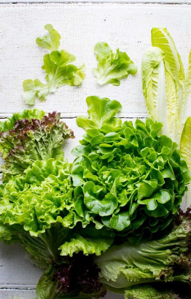 Produce Spotlight The Ultimate Guide to Lettuce Healthy Seasonal Recipes