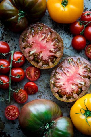 What makes tomatoes split? Should they be refrigerated? Can they help heal sunburns? Answers to these questions and many more are found in this Ultimate Guide to Tomatoes. Read on for the scoop about growing tomatoes, preparing them and what nutrients they bring to the table. Check out the several tomato recipes as well. Healthy Seasonal Recipes by Katie Webster | #tomatoes #producespotlight #guidetotomatoes
