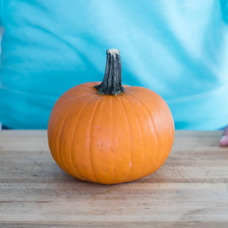 a small cooking pumpkin or pie pumpkin