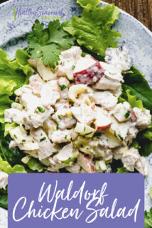 OVerhead chicken salad on a plate with text overlay