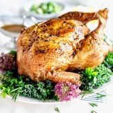 a side view of the roasted turkey on a platter