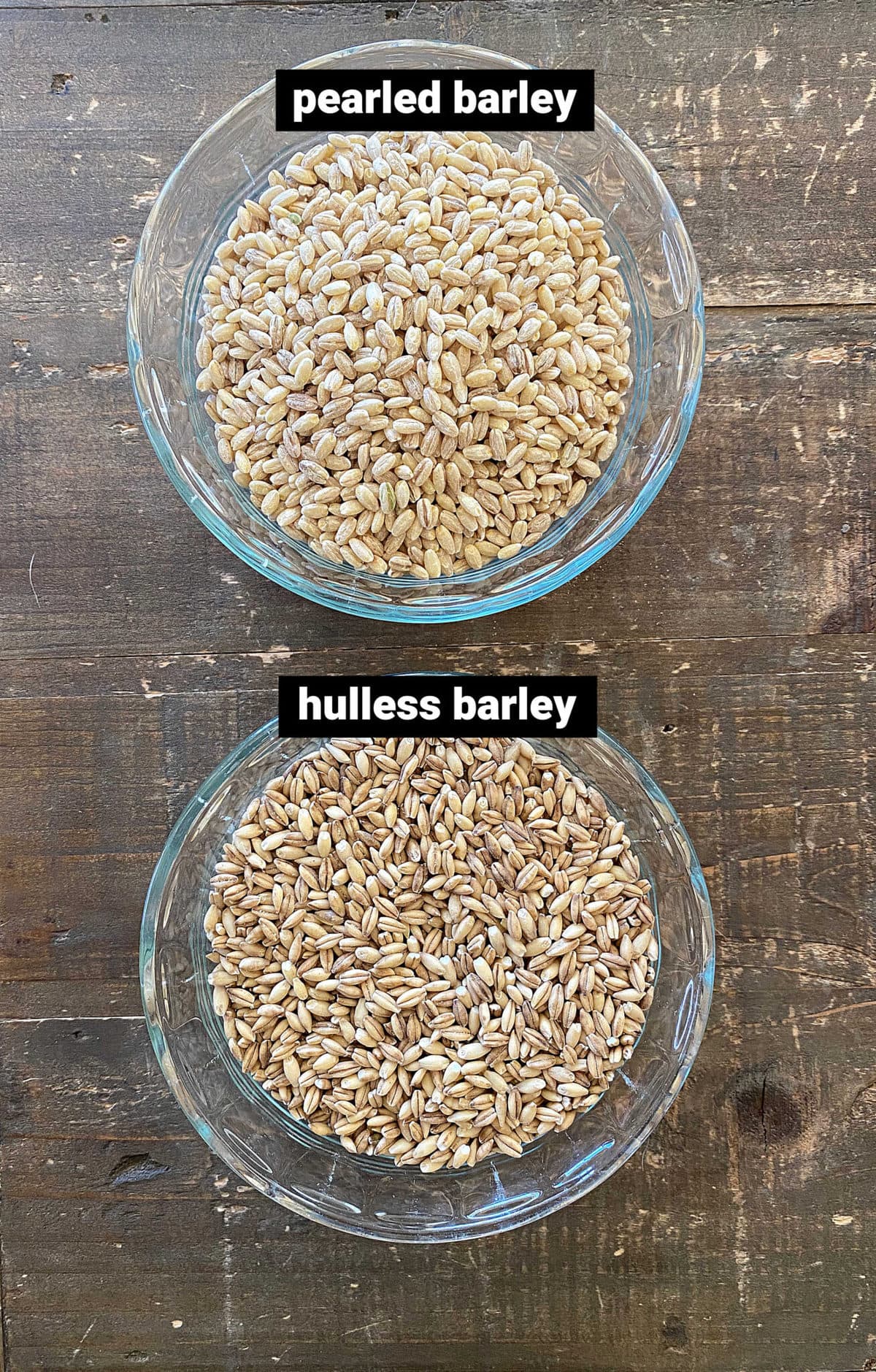 pearl barley vs hulled barley side by side