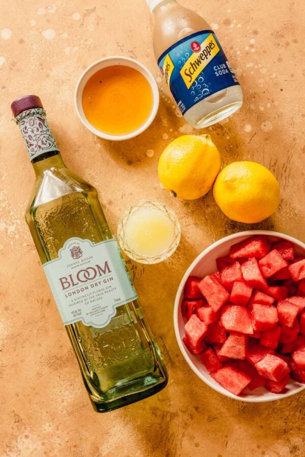 Watermelon Gin Fizz Cocktail Healthy Seasonal Recipes