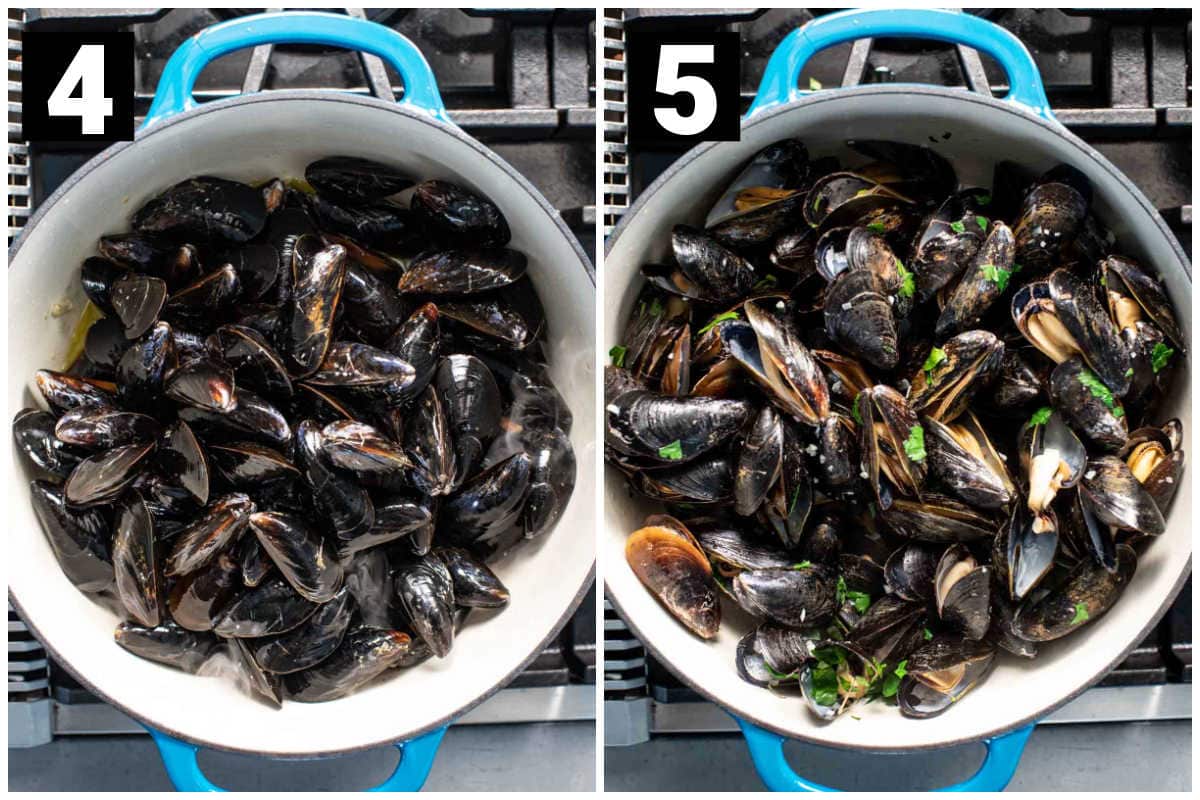 the mussels before and after cooking