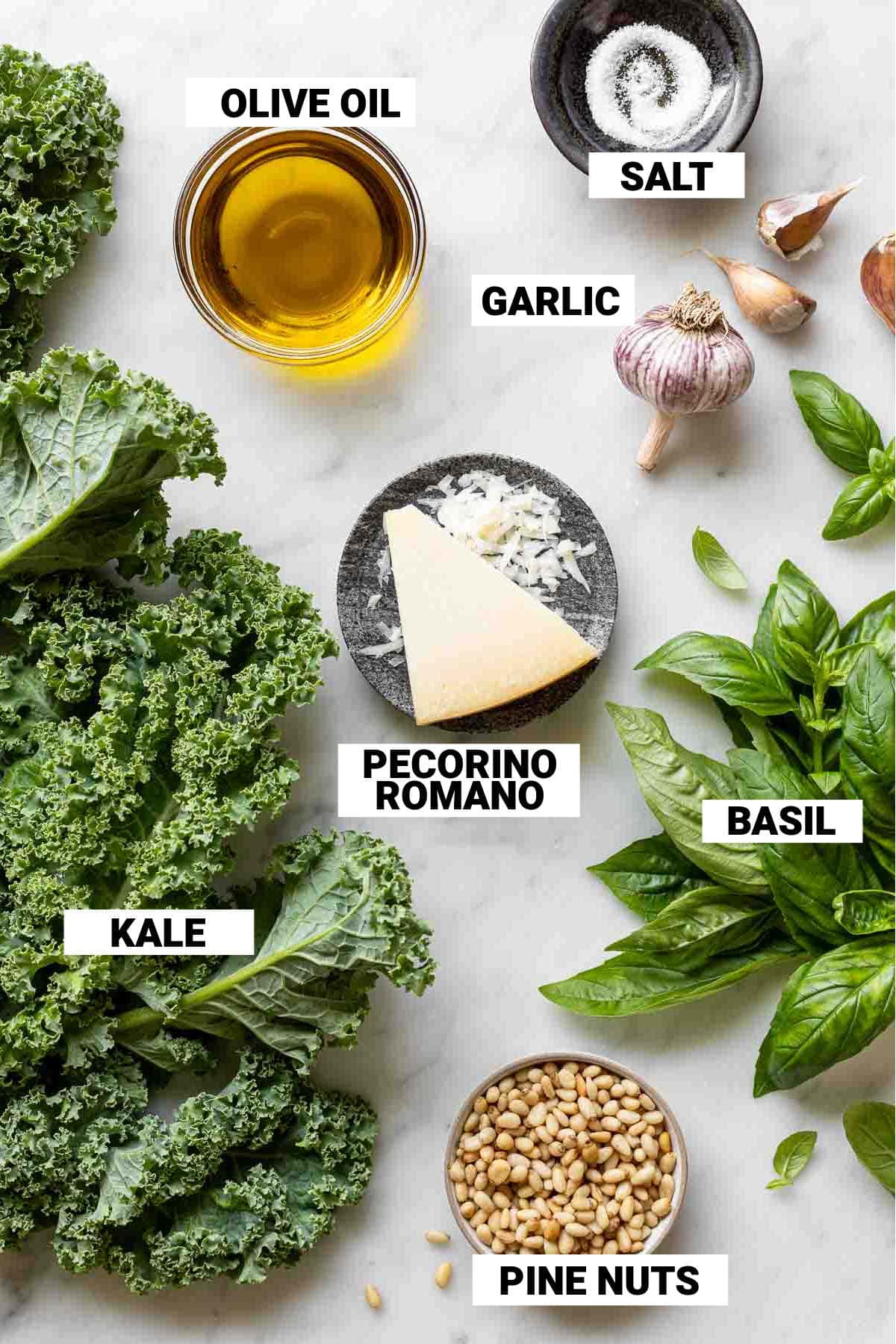kale pesto ingredients with text overlay