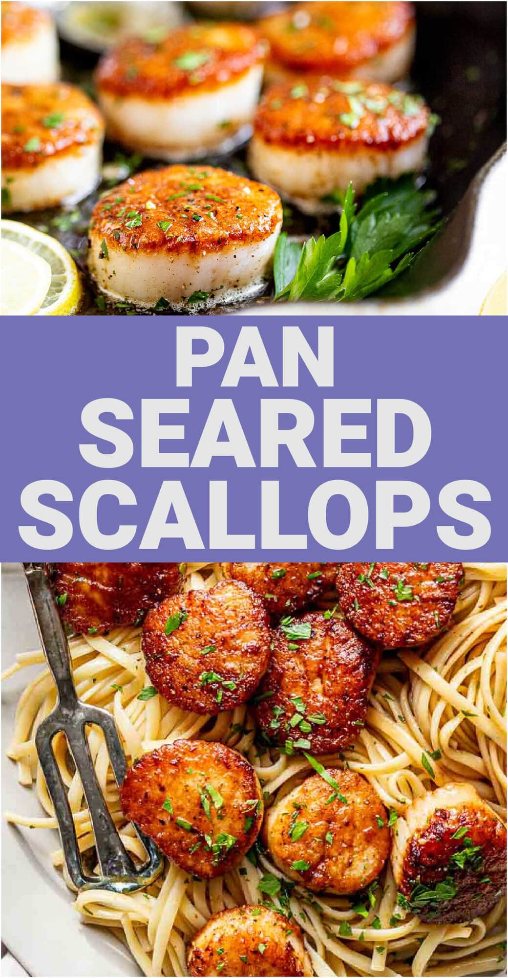 Seared Sea Scallops Recipe Healthy Seasonal Recipes