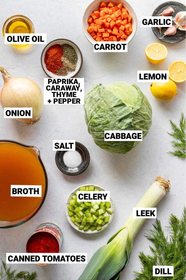 Cabbage Soup Low Calorie - Healthy Seasonal Recipes