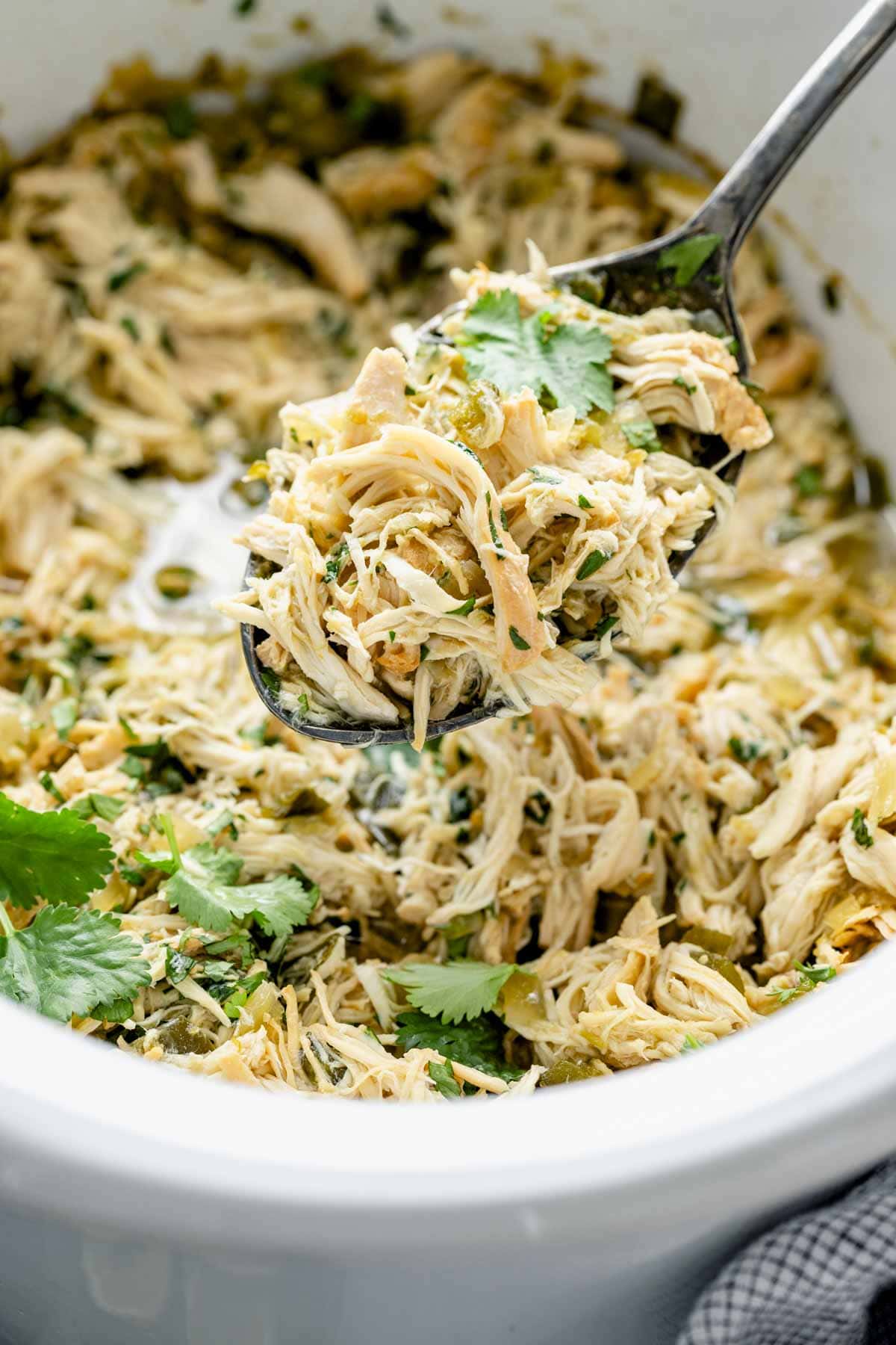 close up of the shredded chicken on a spoon