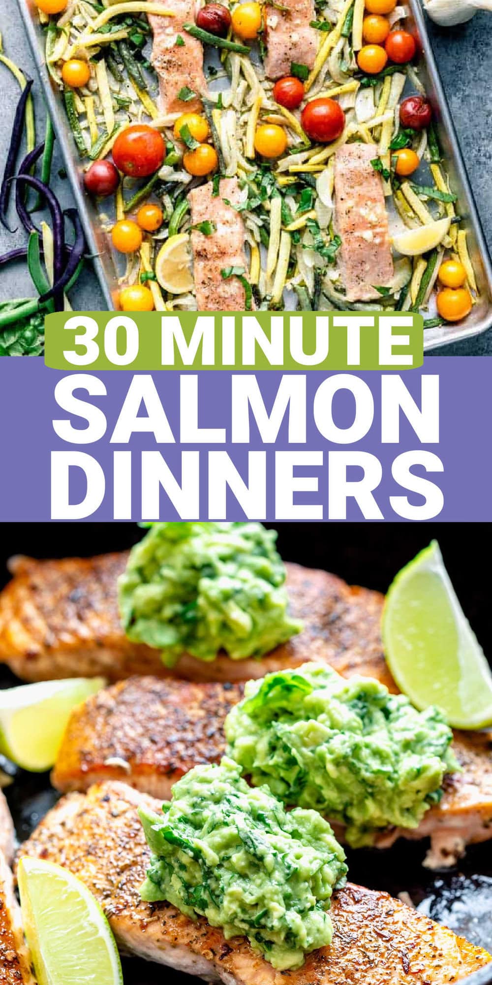 30 Salmon Dinners In 30 Minutes Or Less Healthy Seasonal Recipes 30-salmon-dinners-in-30-minutes-or-less-healthy-seasonal-recipes