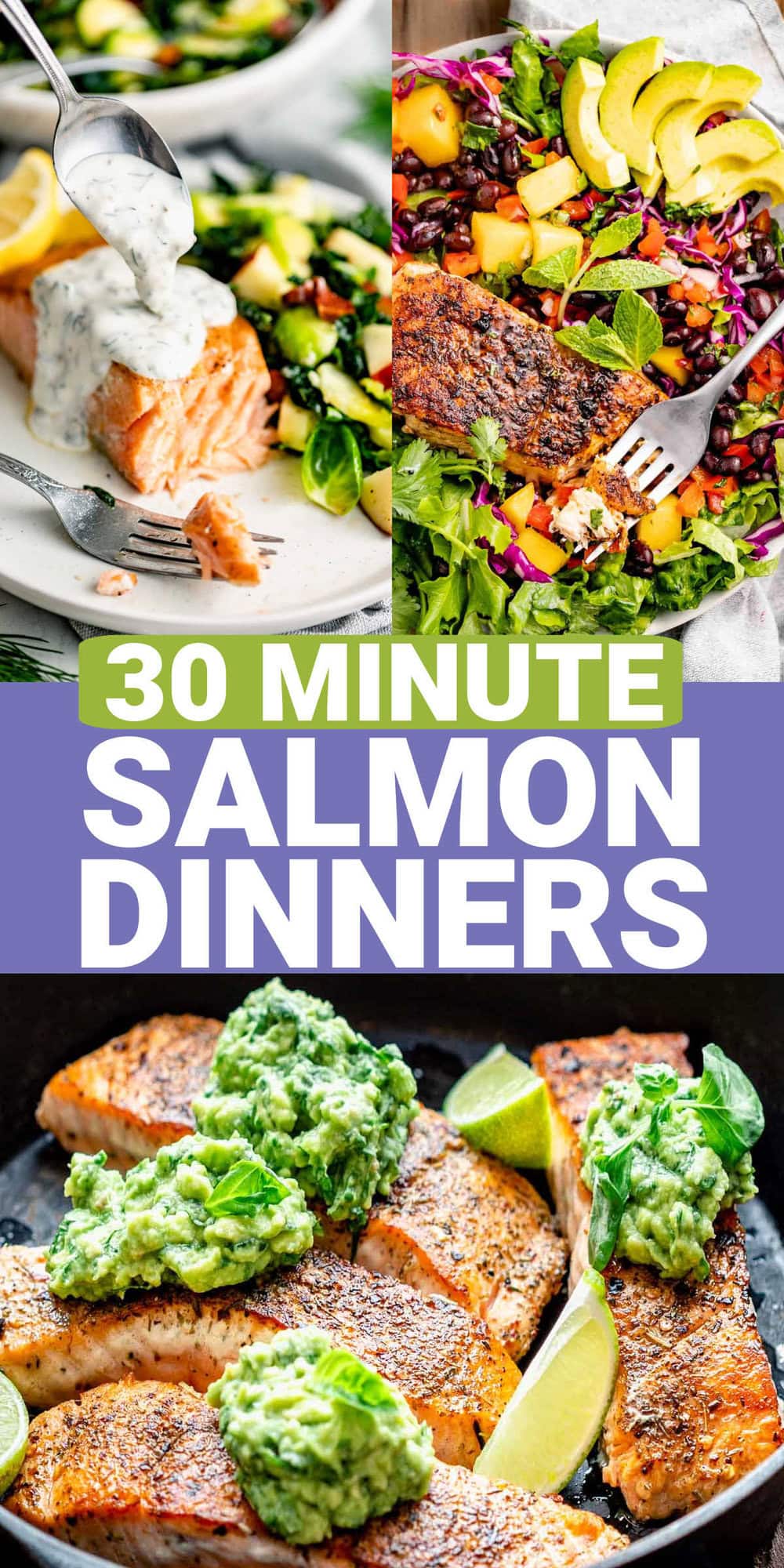 30 Salmon Dinners In 30 Minutes Or Less Healthy Seasonal Recipes 30-salmon-dinners-in-30-minutes-or-less-healthy-seasonal-recipes